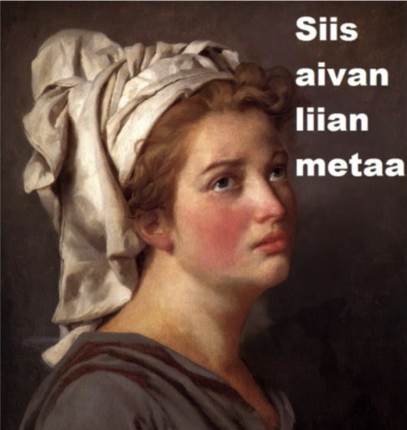 siisAivanLiianMetaa