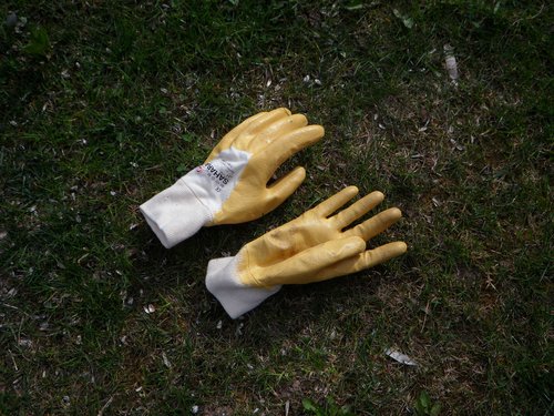 gloves.jpg